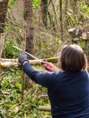 WhatsApp Image 2026-03-11 at 15.58.13 (1)