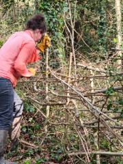 WhatsApp Image 2026-03-11 at 15.58.27