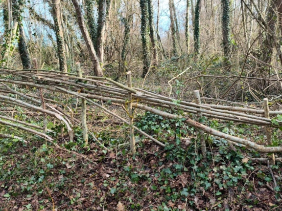 WhatsApp Image 2026-03-11 at 15.58.13