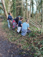 WhatsApp Image 2026-03-11 at 15.58.29