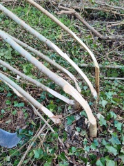 WhatsApp Image 2026-03-11 at 15.58.34 (1)