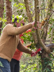 WhatsApp Image 2026-03-11 at 15.58.34 (2)