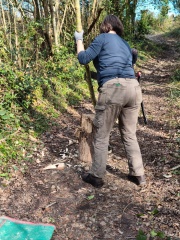 WhatsApp Image 2026-03-11 at 15.58.36 (2)