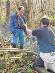 WhatsApp Image 2026-03-11 at 15.58.36