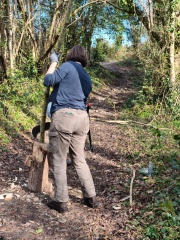 WhatsApp Image 2026-03-11 at 15.58.38