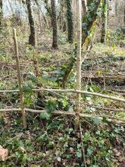 WhatsApp Image 2026-03-11 at 15.58.40 (3)