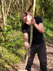 WhatsApp Image 2026-03-11 at 15.58.40