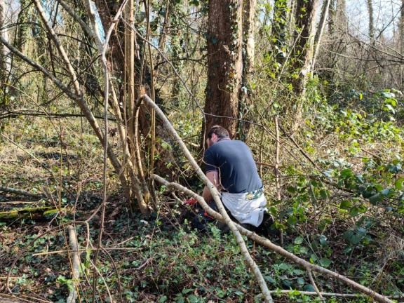 WhatsApp Image 2026-03-11 at 15.58.42